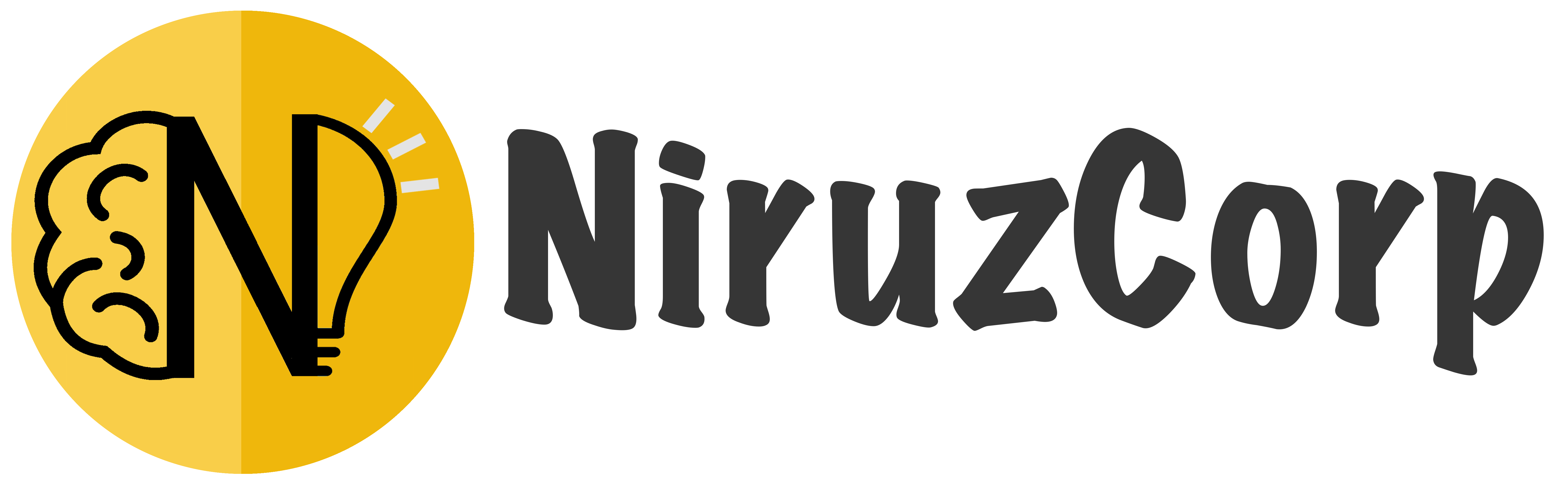 NiruzCorp